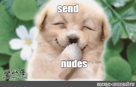 send nudes dog meme|122 Funny Dog Memes Thatll Make You Bark With Laughter